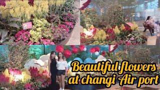 BEAUTIFUL FLOWERS DISPLAY AT CHANGI AIR PORT SG Nenethvlog [upl. by Airamesor962]