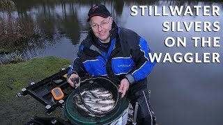 Stillwater Silvers On The Waggler [upl. by Bornstein]