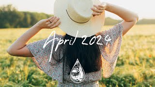 IndiePopFolk Compilation  April 2024 2Hour Playlist [upl. by Penrose388]