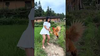 chicken shortsvideo shorts shortfeed [upl. by Amalbena803]