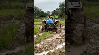 Powertrac 4wd tractor shorts trending tractor [upl. by Asyle]