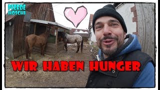 Wir haben hunger haben hunger   Pferde Hoschi [upl. by Eednar]