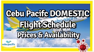 Cebu Pacific Domestic Flight Schedules with Prices amp Availability Philippines Travel Update [upl. by Lavicrep283]