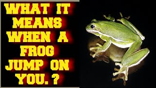 WHAT IT SPIRITUALLY MEANS WHEN A FROG JUMP ON YOU [upl. by Aenaj]