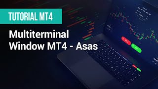 XM  Tutorial MT4  Multiterminal Window MT4  Asas [upl. by Enitsirhc]