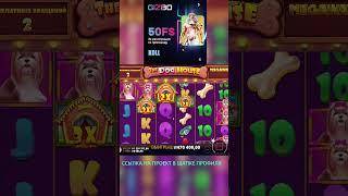 СОБАКИ ДОЛЖНЫ СКОРО ДАТЬ ЧУВСТВУЮ ЭТО slots casino slot топ jackpot bigwin slotmachine win [upl. by Leinaj]