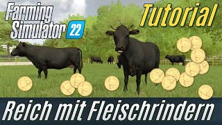 LS22 Tutorial Reich durch Fleischrinder [upl. by Buckels915]