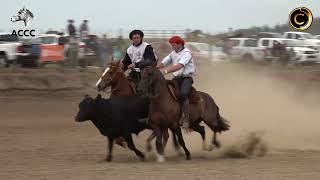 Credenciadora Mixta Cabaña Santa Ana  Prueba de Campo 2 Hembras [upl. by Adianez]