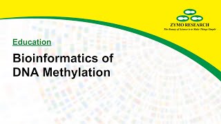 Bioinformatics For Genomewide DNA Methylation Sequencing  Zymo Research [upl. by Wattenberg]