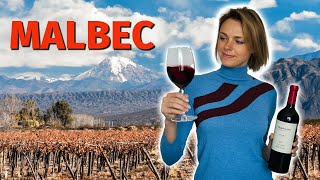 Wine Grapes 101 MALBEC [upl. by Htilil]