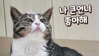 보름이가 큰언니를 좋아하게 됐어요 이런 적이 없었는데 [upl. by Dahsra438]