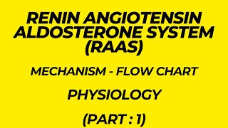 Renin Angiotensin Aldosterone System RAAS Mechanism  Flow chart Physiology Part 1 [upl. by Etiragram]