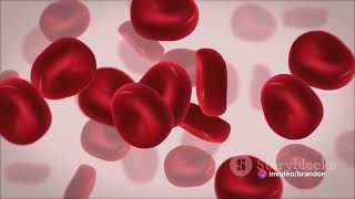 Etiopathogenic Classification of anemia  Regenerative Anemia 01 [upl. by Iams]