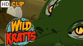 Wild Kratts  Operation Crocodile Nest [upl. by Fatima]