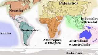 Regiones biogeograficas [upl. by Eizdnil]