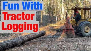 Small Scale Tractor Logging for Off Grid Cabin Build [upl. by Bouley467]