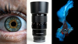 Sony FE 90mm F28 Macro Review  Best Macro and Portrait lens [upl. by Odranreb]