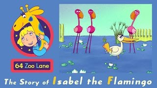 64 Zoo Lane  Isabel the Flamingo S02E06 HD  Cartoon for kids [upl. by Gayel]