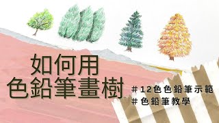 如何用色鉛筆畫樹｜12色色鉛筆示範｜適合初學者 [upl. by Eimirej]