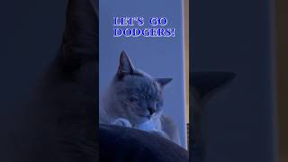 My Cat Is a Dodger Fan [upl. by Papagena596]