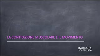 La contrazione muscolare [upl. by Adnarim]