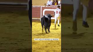 Gran CORTE de RODERO en mostoles shorts [upl. by Taylor472]