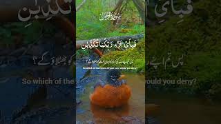 Surah rehman urdu and english translation best voice [upl. by Hacceber]