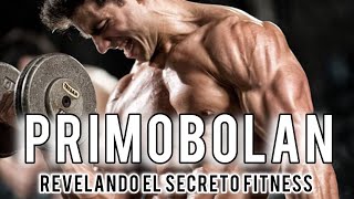 Primobolan el secreto revelado Ganancia muscular de calidad [upl. by Etnomal]