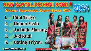 NEW SANTALI SOHRAI SONG🌹 Santali Sohrai Serenj 202425 🎵  Traditional Songs Mp3  Dpc Official [upl. by Akcimahs]