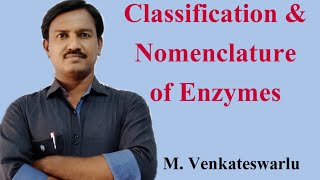 Classification and Nomenclature of Enzymes  Biology  Sr Botany [upl. by Ecined141]