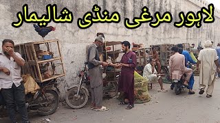 Ando Wali Murghi Shalimar Bagh Sunday Bazar Price update Lahore Pakistan [upl. by Annav]