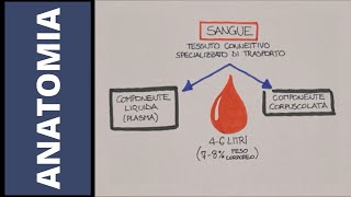 Il sangue [upl. by Orestes]