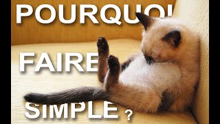 POURQUOI FAIRE SIMPLE [upl. by Atikahc]