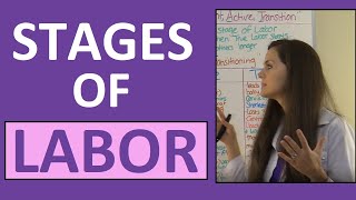 Stages of Labor Nursing OB for Nursing Students  Stages of Labour NCLEX Explained Video Lecture [upl. by Gromme]