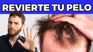 Semilla de Aguacate 🥑 y sus Beneficios para el Cuidado del Cabello [upl. by Neelasor160]