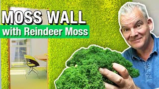 How to Build a Moss Wall With Reindeer Moss [upl. by Celin]