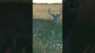 Hay bale blind buck FULL VIDEO on our Channel hunting [upl. by Kirk971]