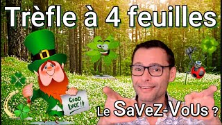 Légende du trèfle à 4 feuilles  LE SaVeZVoUS [upl. by Aerdnad650]