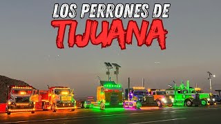 LOS PERRONES DE TIJUANA🚛 [upl. by Cinamod]