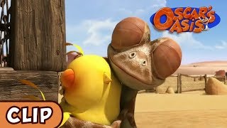 Oscars Oasis  Quite The Chick  HQ  Funny Cartoons [upl. by Ethben]