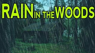 🎧 RAIN SOUNDS IN THE WOODS  Ambient Noise For Sleep Relaxation and Studying  Ultizzz day9 [upl. by Clapp142]