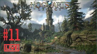 Hogwarts Legacy  Part 11 Starting Story  Live Stream Full Walkthrough RoyALGaMzoYt [upl. by Maltz]