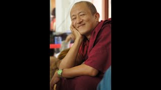 Dhamma Talk  07 by Dzongsar Jamyang Khyentse Rinpoche [upl. by Greerson596]