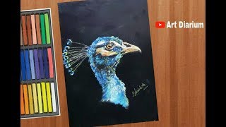 How to draw a peacock with pastel [upl. by Nevile]