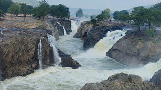 Hogenakkal Water Falls [upl. by Ilaire]