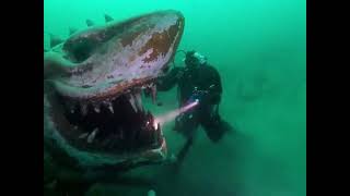 Terrifying underwater shark statue at Lake Neuchatel in Switzerland  mysterious thing  discoveries [upl. by Yetah]