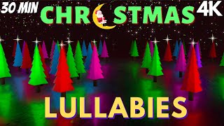 4kSensory Videos for Autism a Stroll Amongst Christmas Trees Calming Lullabies [upl. by Erde43]