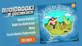 Bajki na dobranoc  Iwona Kałuża  Audiobook PL 1 [upl. by Dov736]