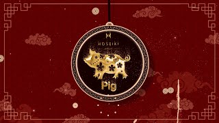 PIG Zodiac Forecast 2024  2024 属猪生肖运势 [upl. by Anoj258]