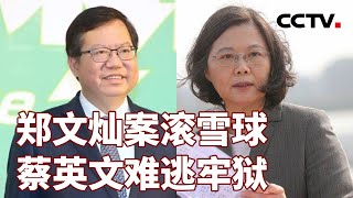 郑文灿案滚雪球 蔡英文难逃牢狱 20240714  CCTV中文《海峡两岸》 [upl. by Anwahsad]